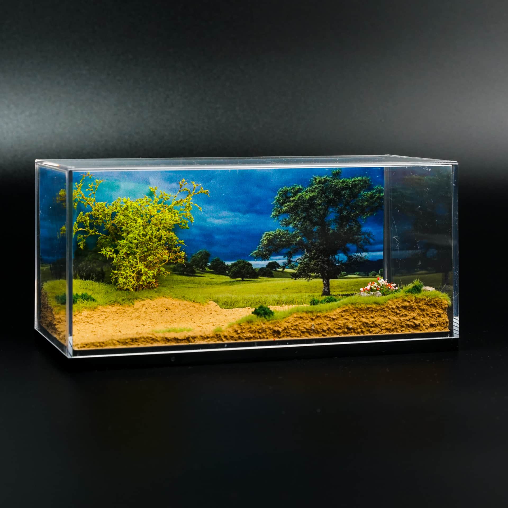 Diorama Sawanna Inny - model 1:64